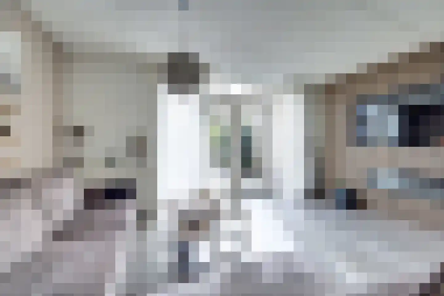 De Punter 5 Hoogeveen thumbnail 11