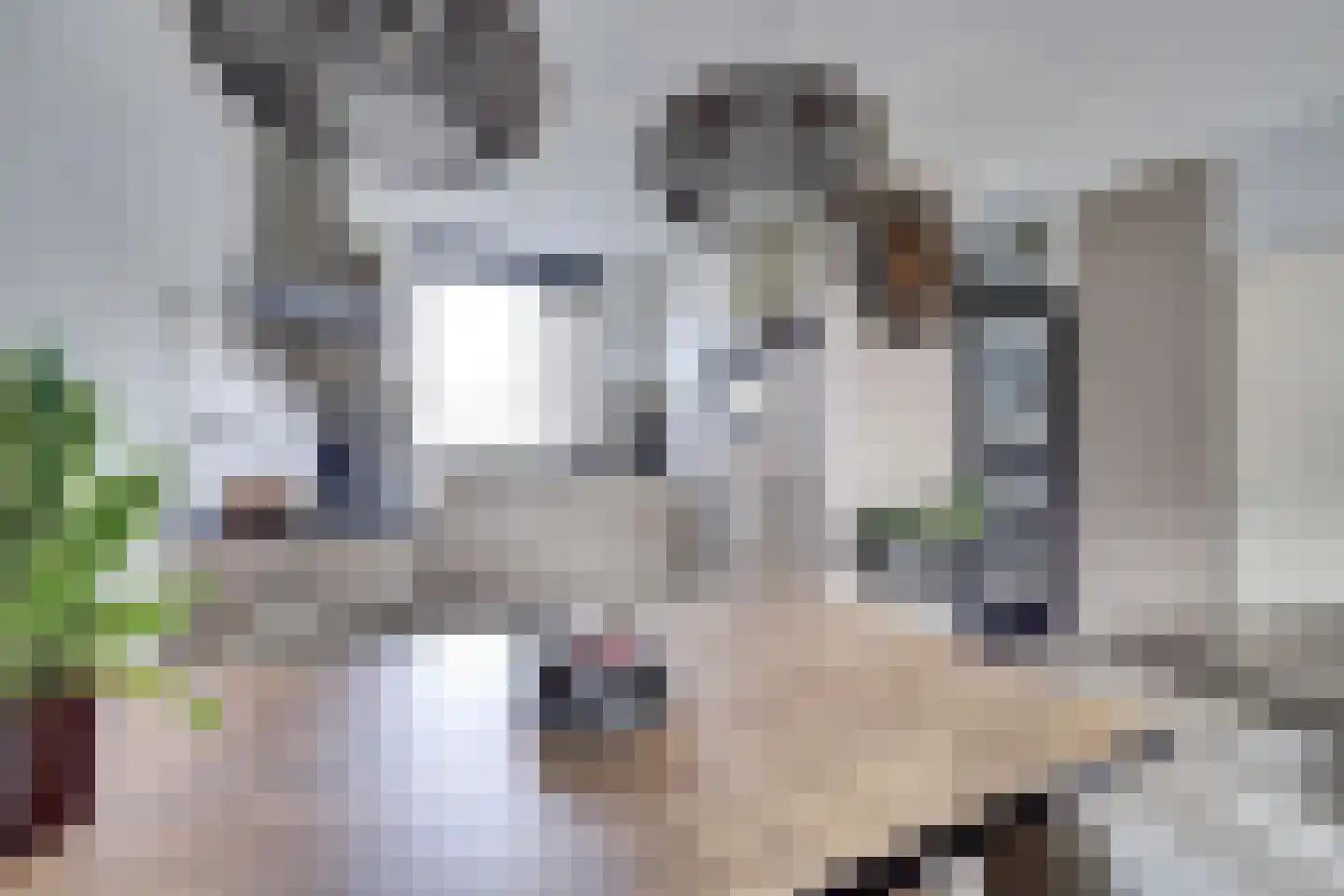 De Punter 5 Hoogeveen thumbnail 13