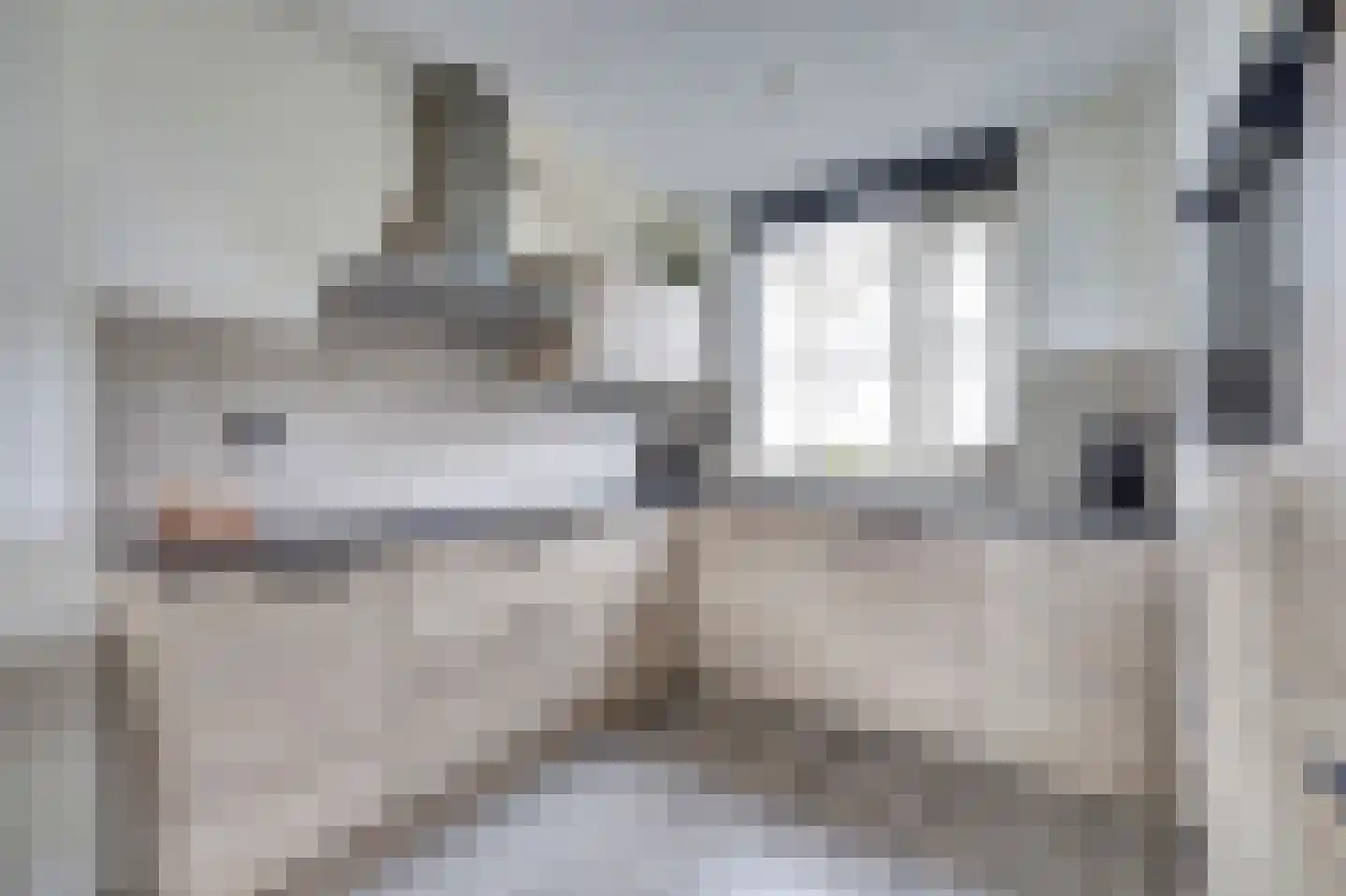 De Punter 5 Hoogeveen thumbnail 14