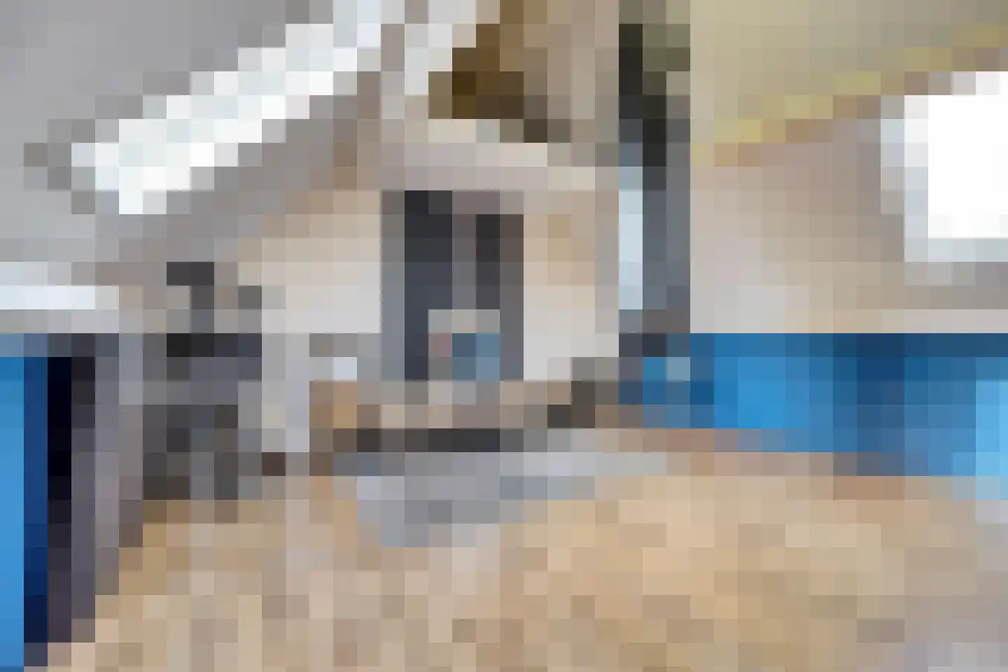 De Punter 5 Hoogeveen thumbnail 27
