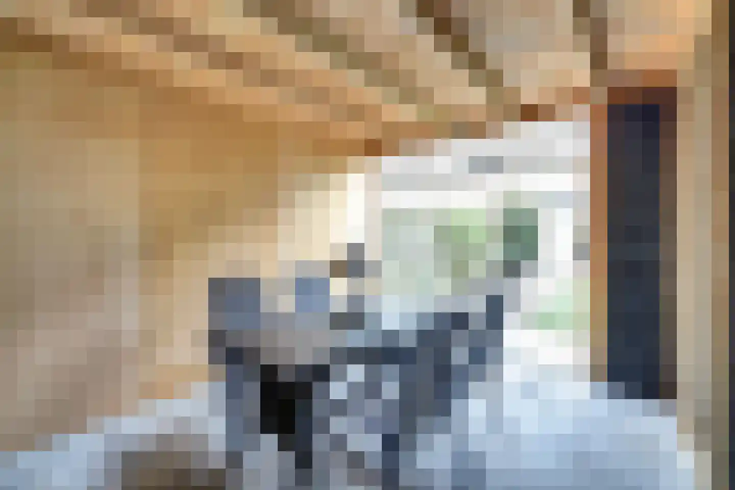 De Punter 5 Hoogeveen thumbnail 32