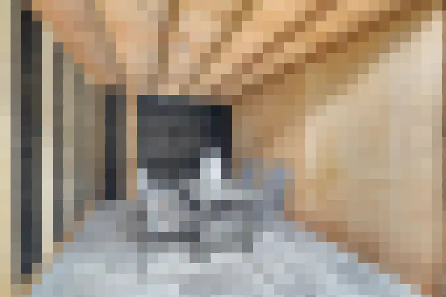 De Punter 5 Hoogeveen thumbnail 33