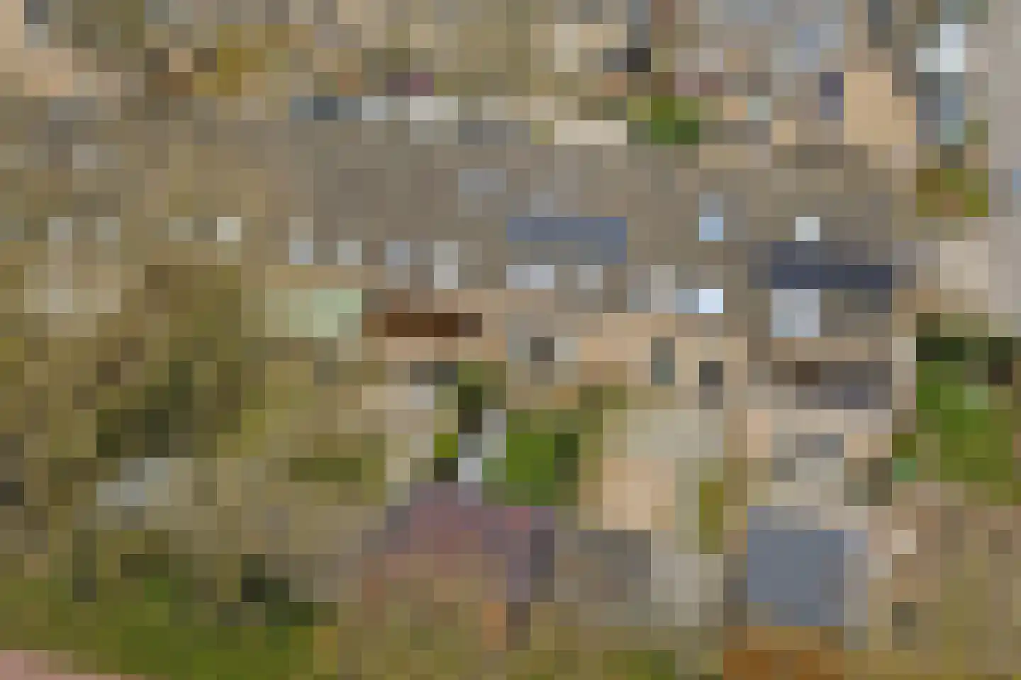 De Punter 5 Hoogeveen thumbnail 38