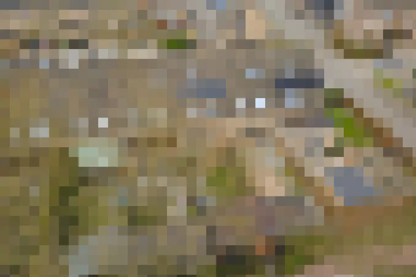 De Punter 5 Hoogeveen thumbnail 39