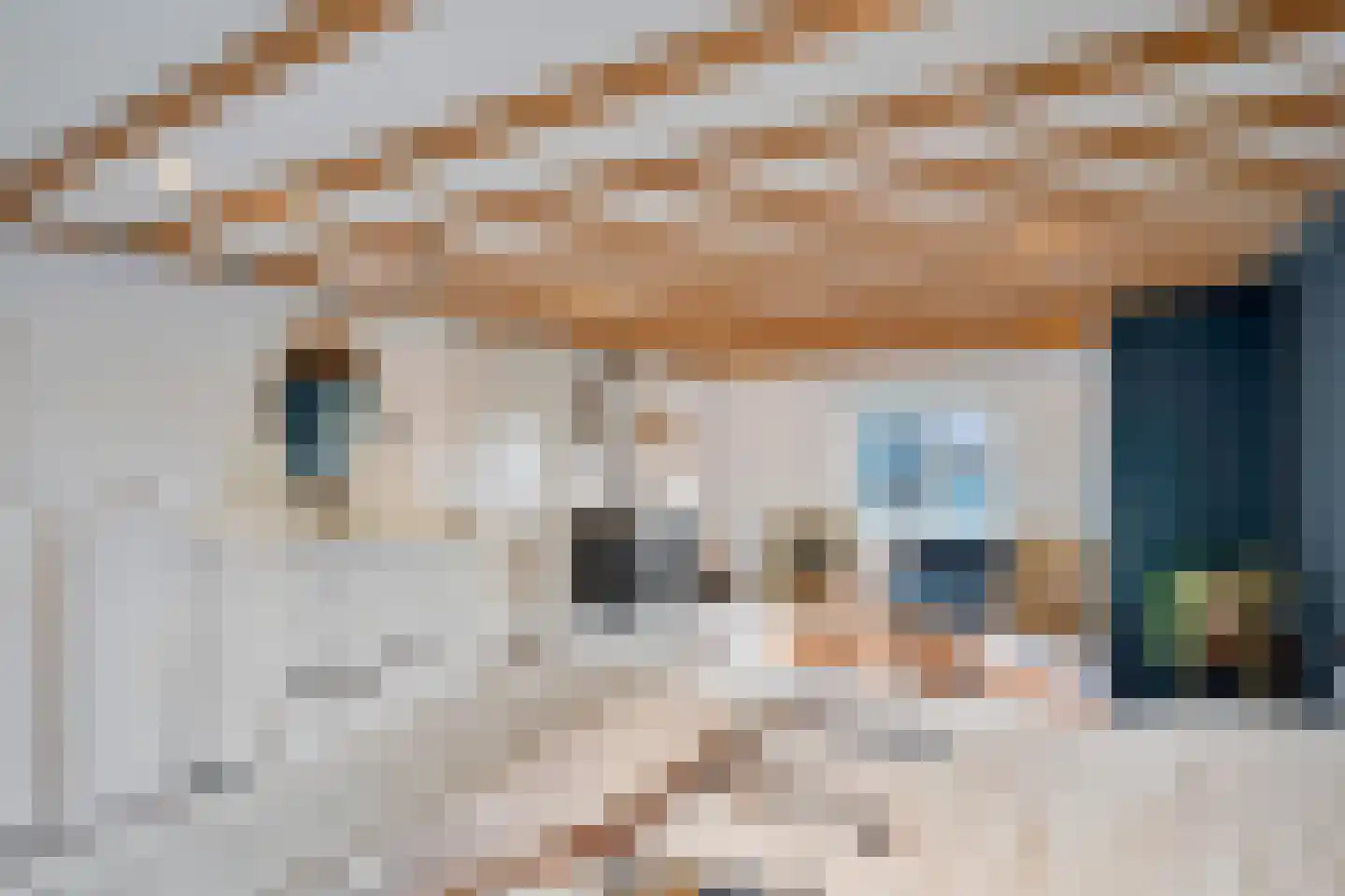 De Put 24 Maassluis thumbnail 22