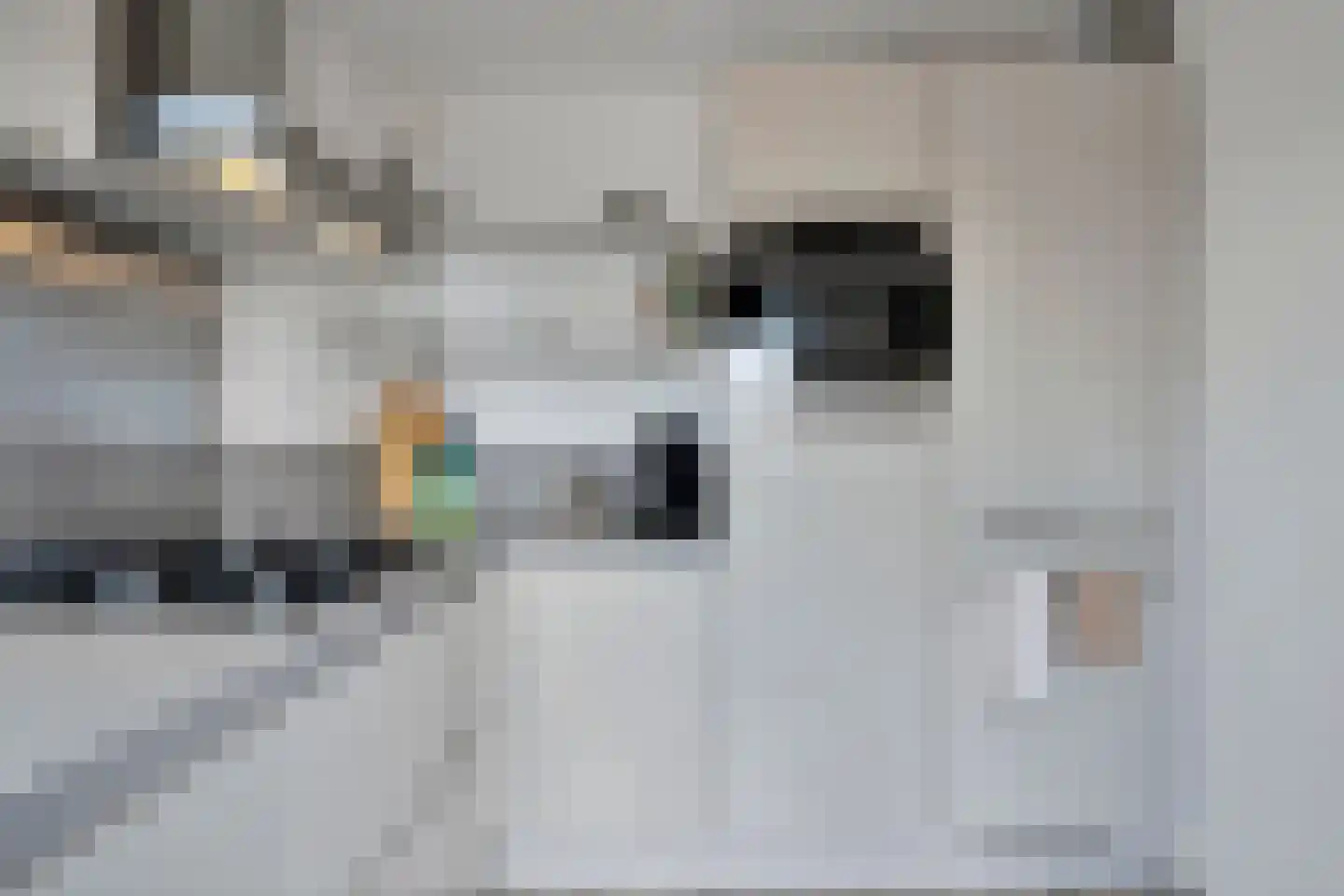 De Put 24 Maassluis thumbnail 9