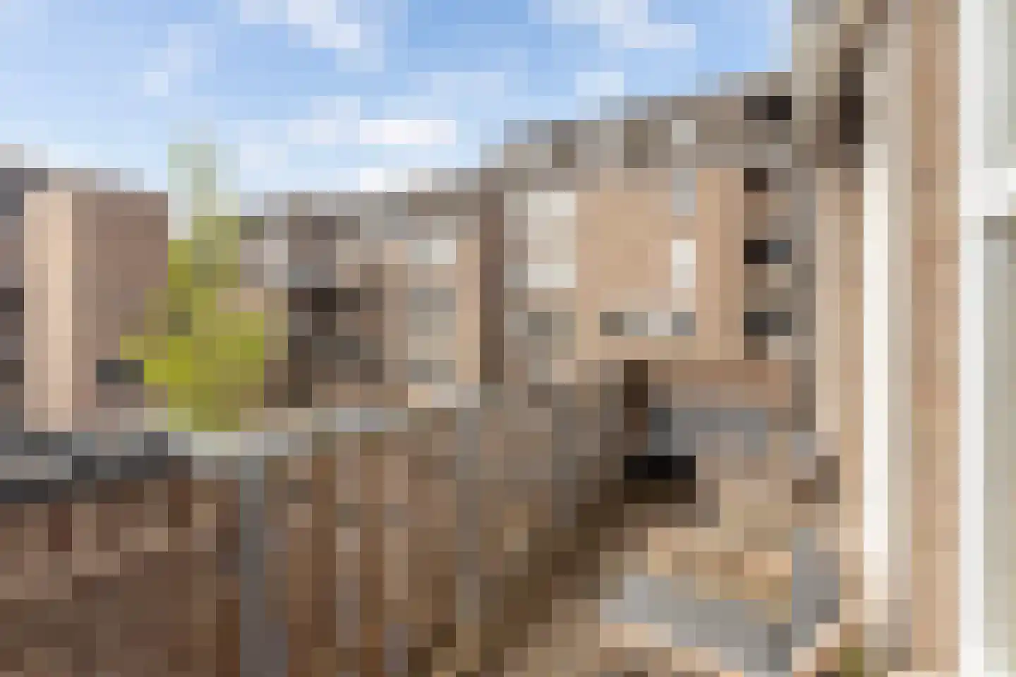 De Put 6 Maassluis thumbnail 16