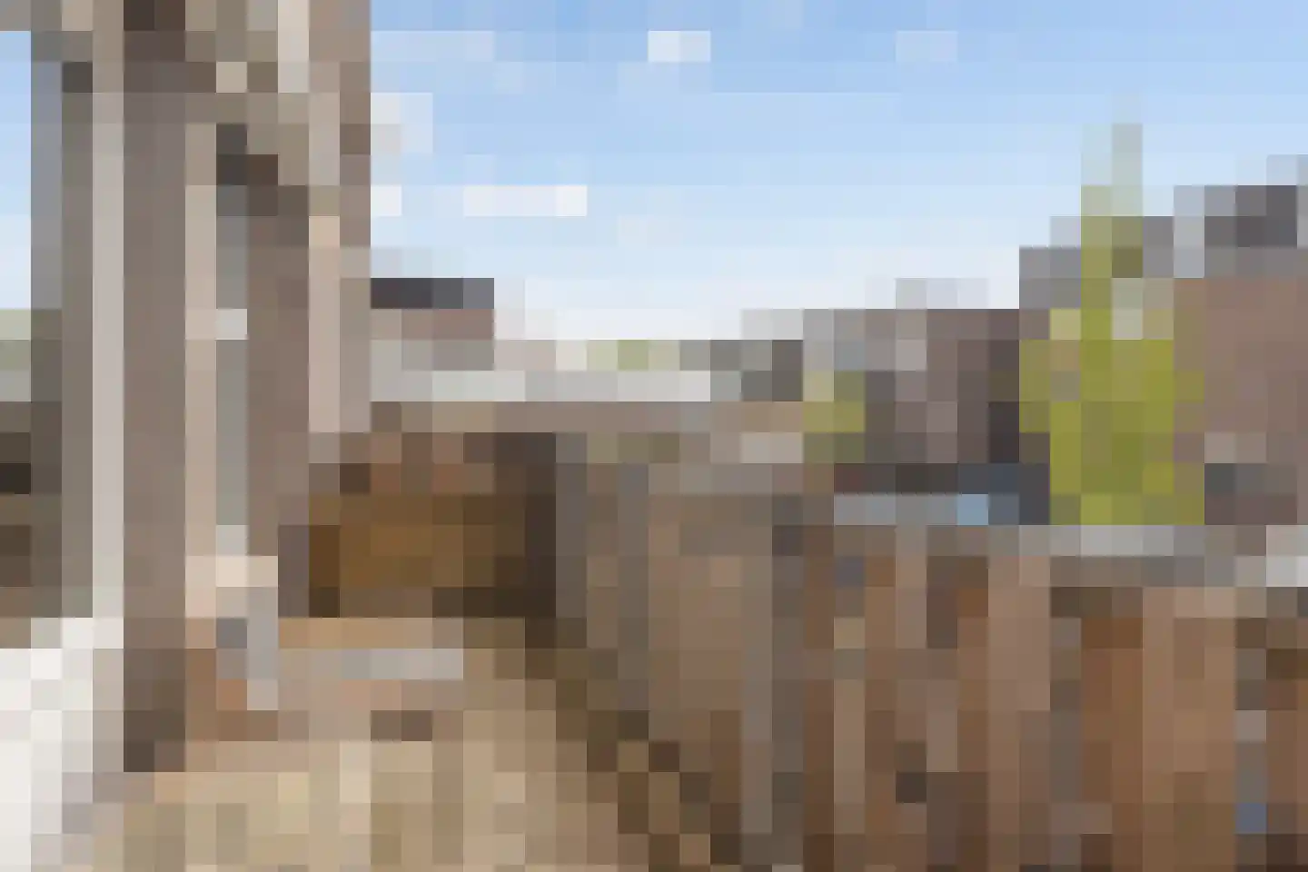 De Put 6 Maassluis thumbnail 17