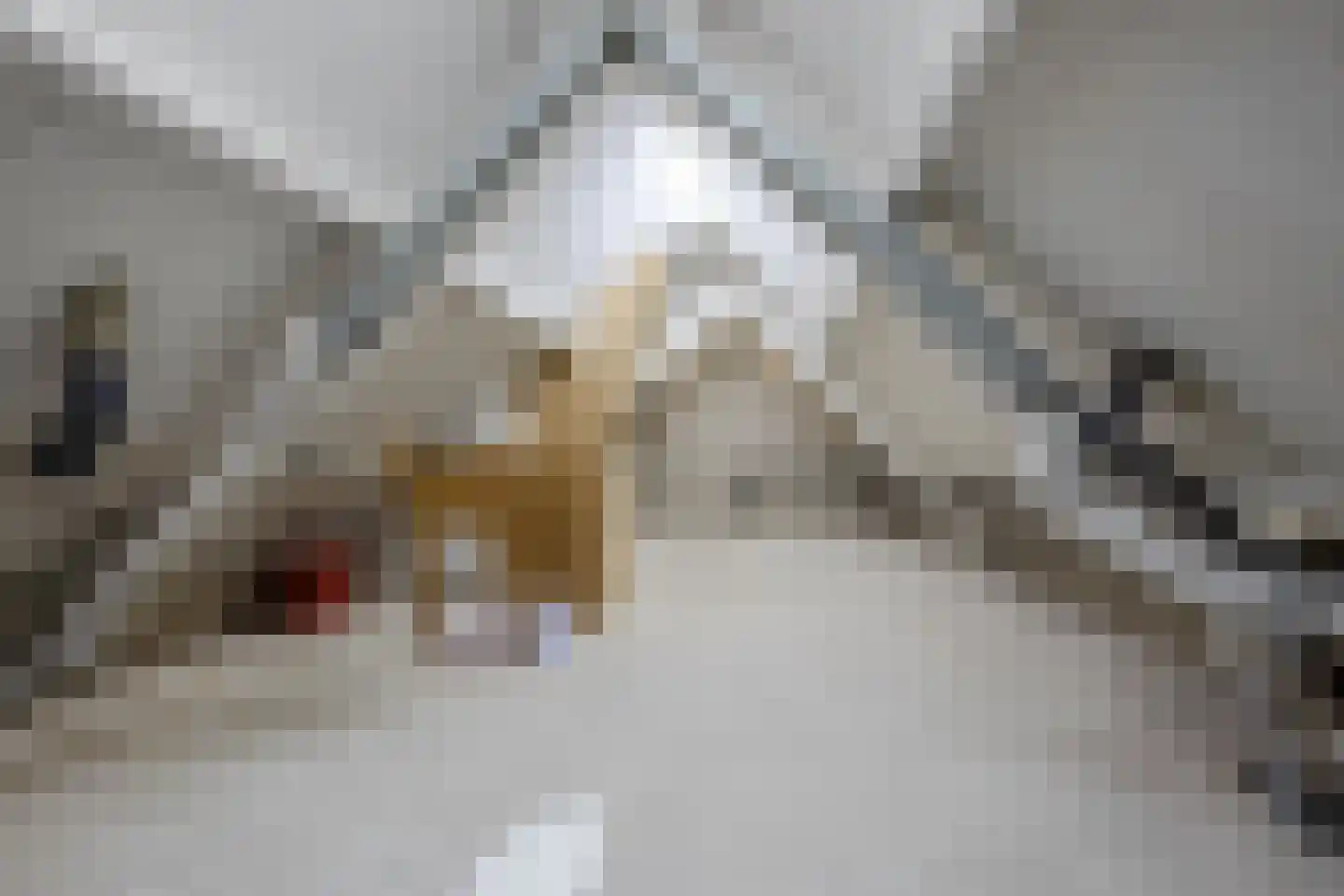 de Putstoel 15 Meppel thumbnail 27