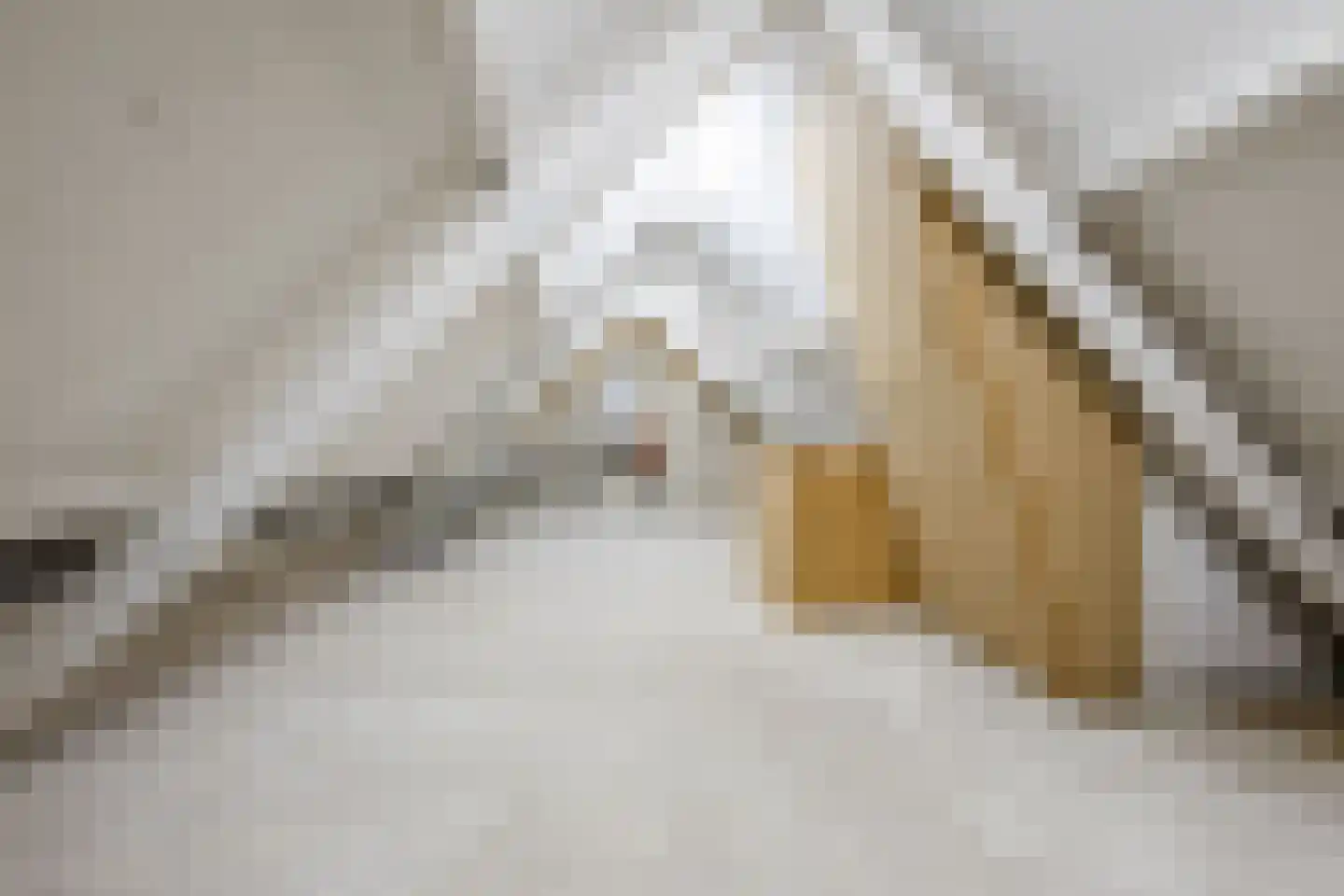de Putstoel 15 Meppel thumbnail 28