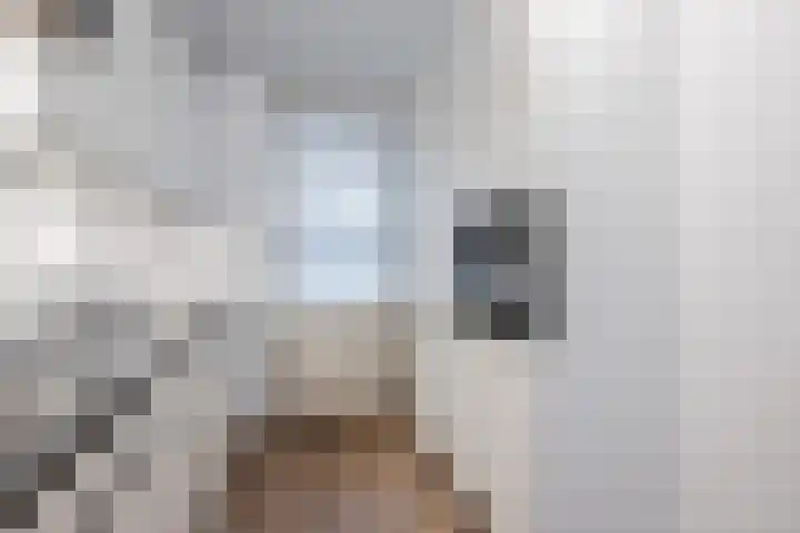 de Putstoel 15 Meppel thumbnail 8