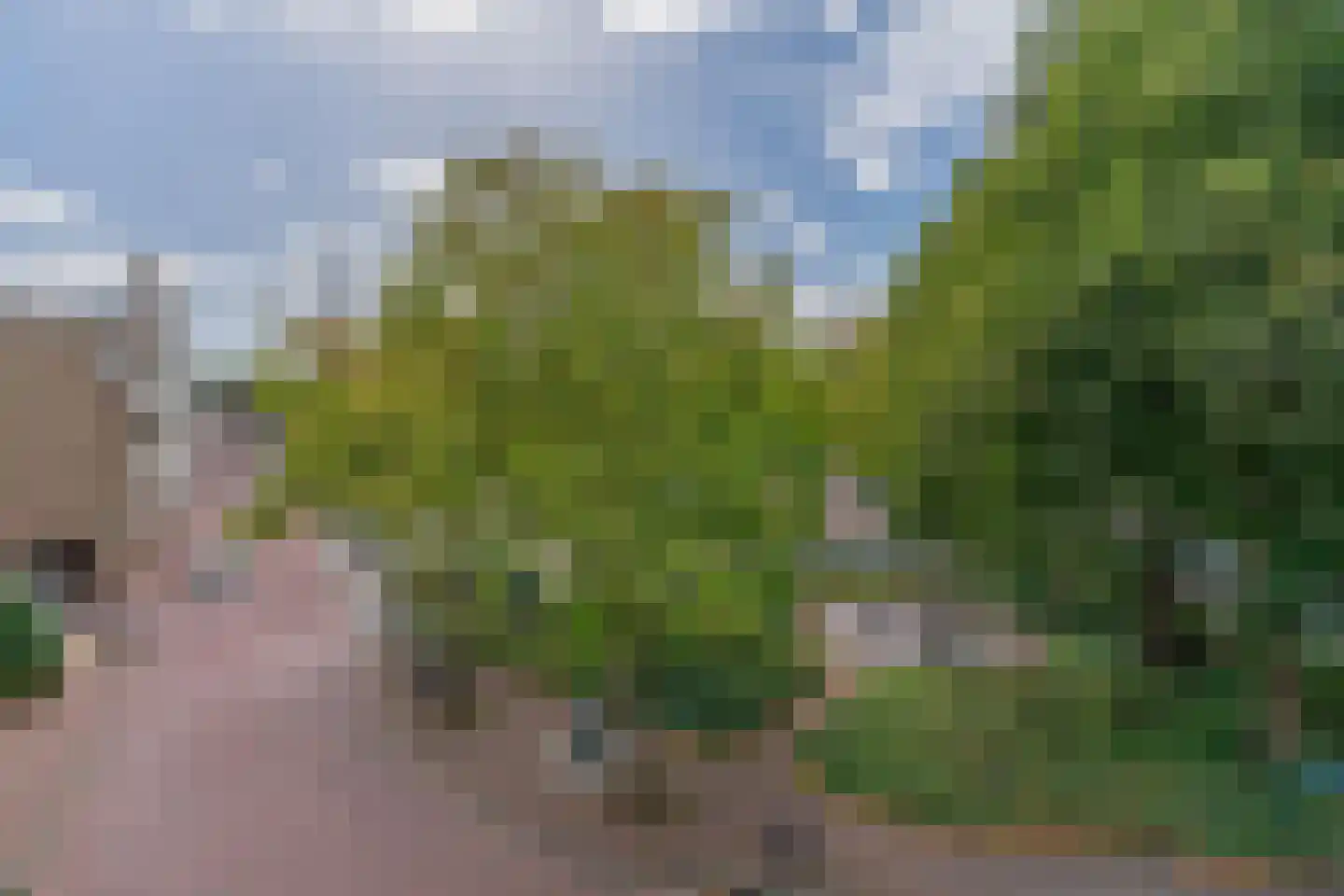 de Putstoel 23 Meppel thumbnail 31