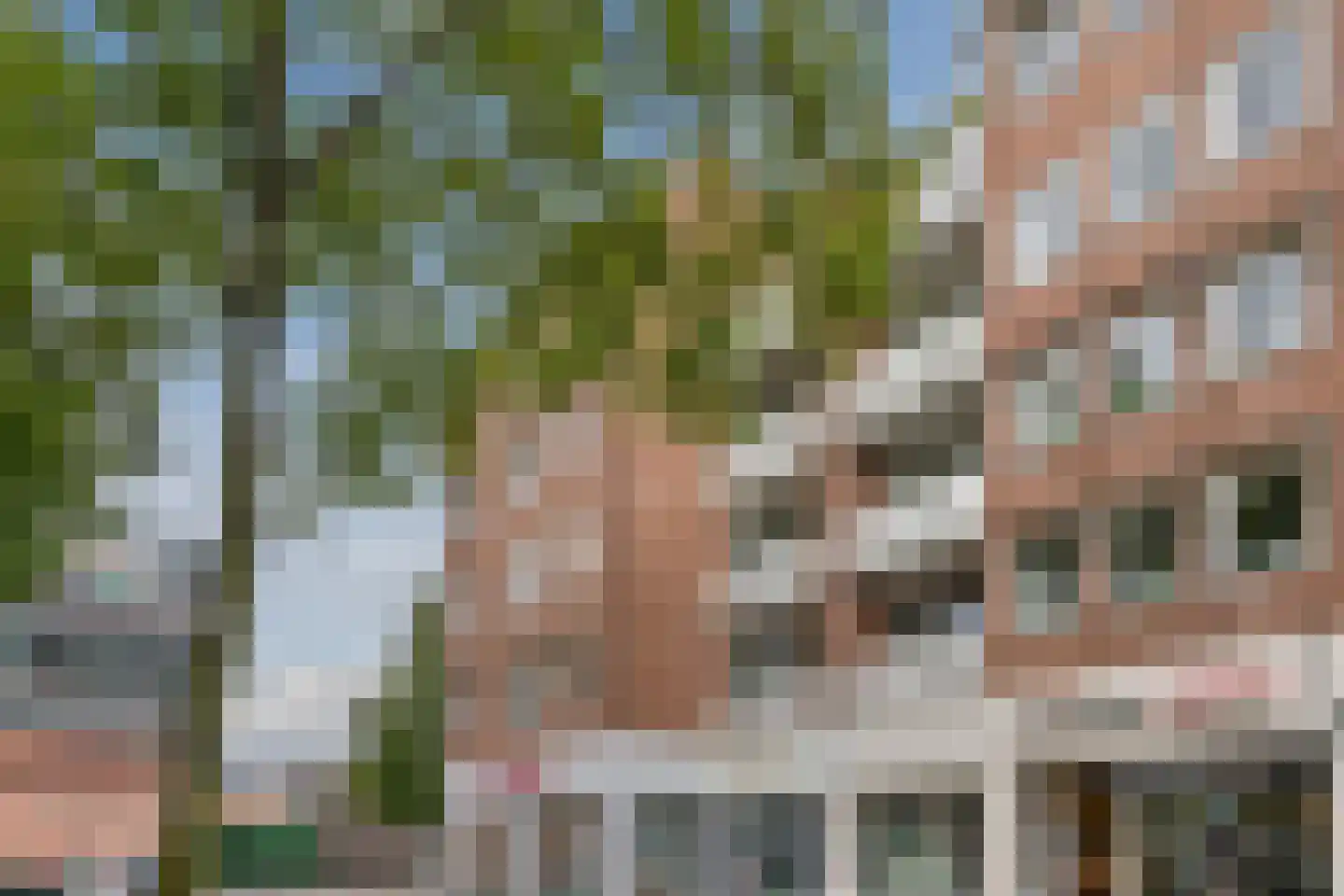 de Putstoel 23 Meppel thumbnail 32