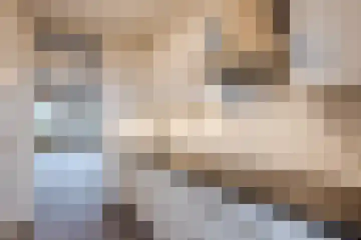 de Putstoel 28 Meppel thumbnail 17