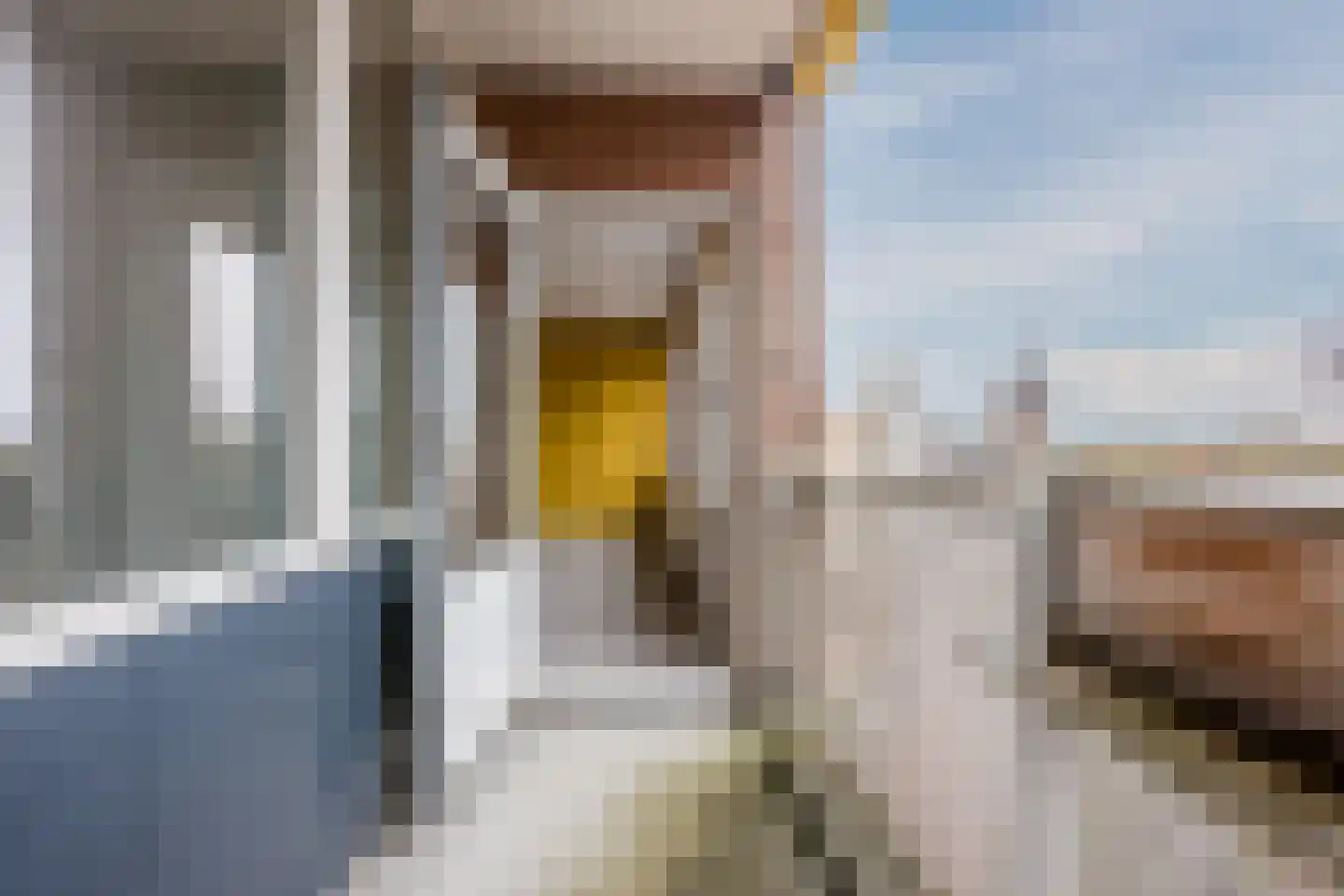 de Putstoel 28 Meppel thumbnail 28