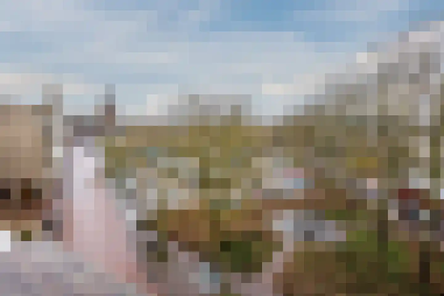 de Putstoel 28 Meppel thumbnail 29