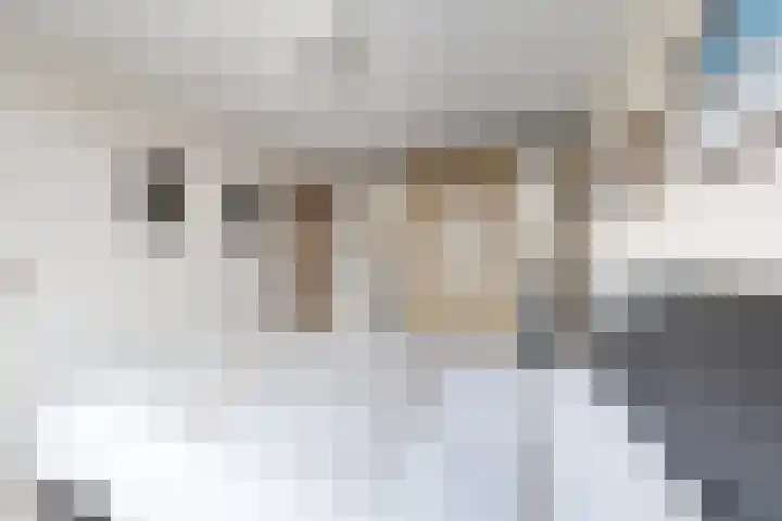 De Putten 15 Zevenbergen thumbnail 38