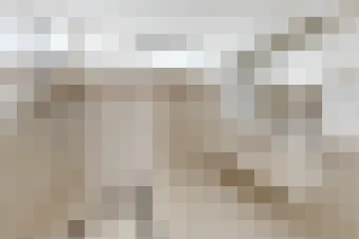 De Putten 15 Zevenbergen thumbnail 4