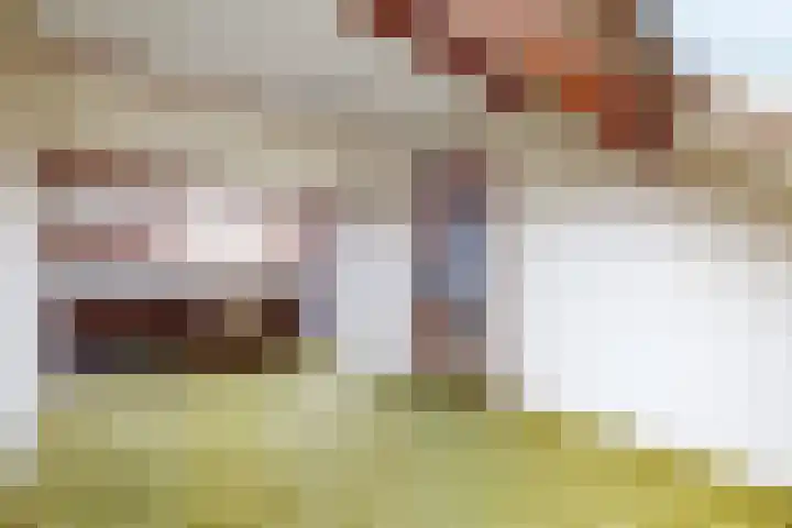 De Putten 15 Zevenbergen thumbnail 5