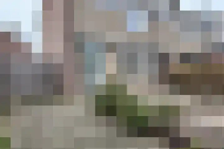 De Putten 15 Zevenbergen thumbnail 52