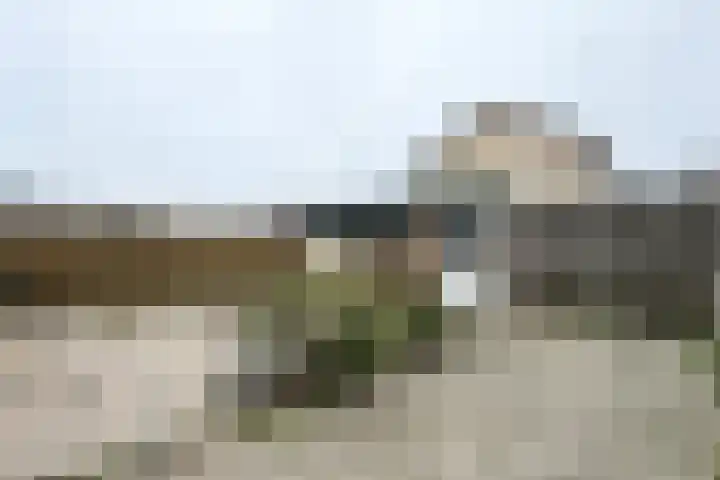 De Putten 15 Zevenbergen thumbnail 58