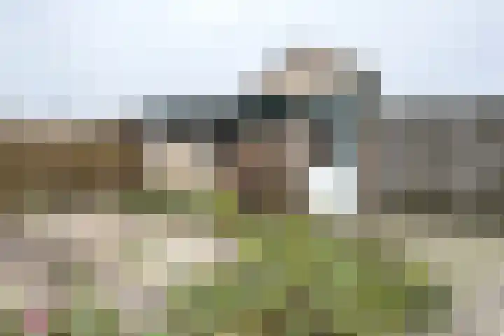 De Putten 15 Zevenbergen thumbnail 61