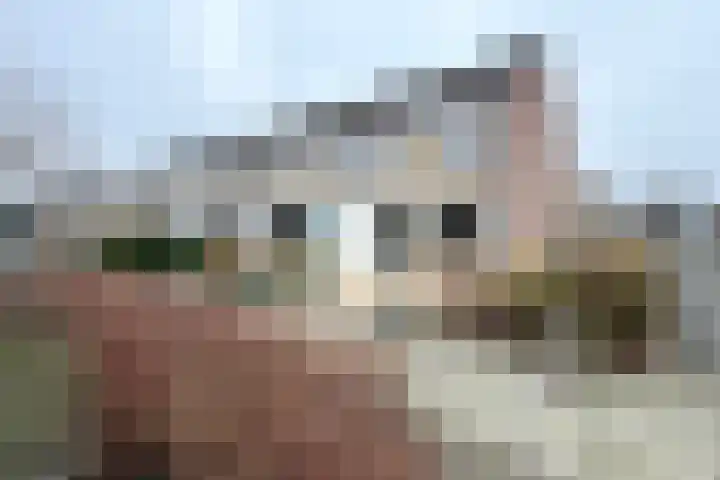 De Putten 15 Zevenbergen thumbnail 65