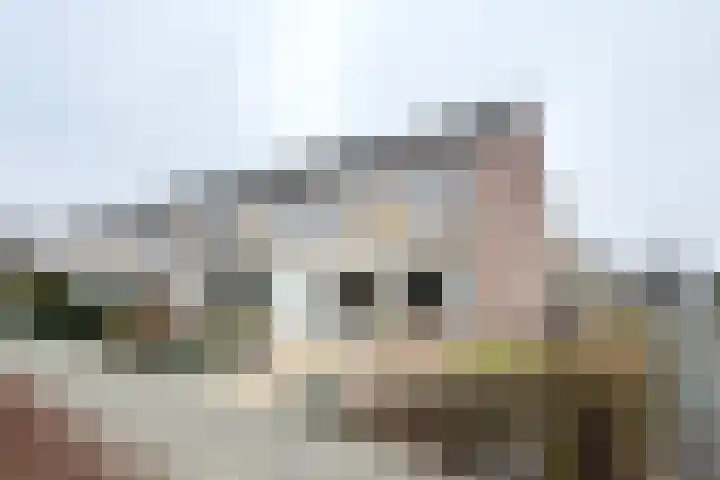 De Putten 15 Zevenbergen thumbnail 66