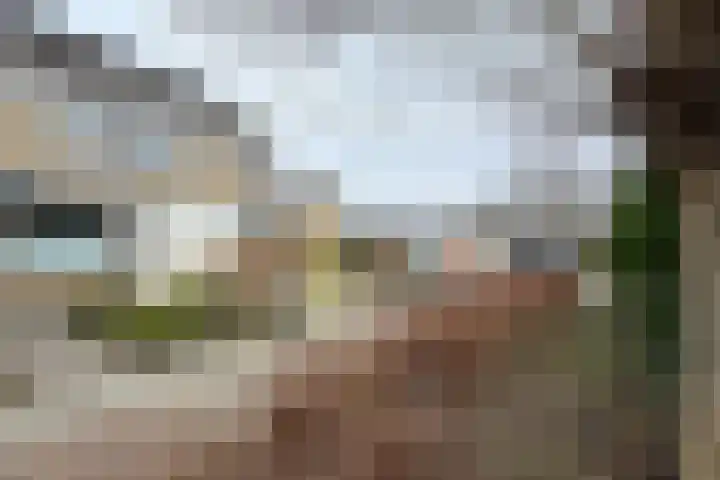 De Putten 15 Zevenbergen thumbnail 67