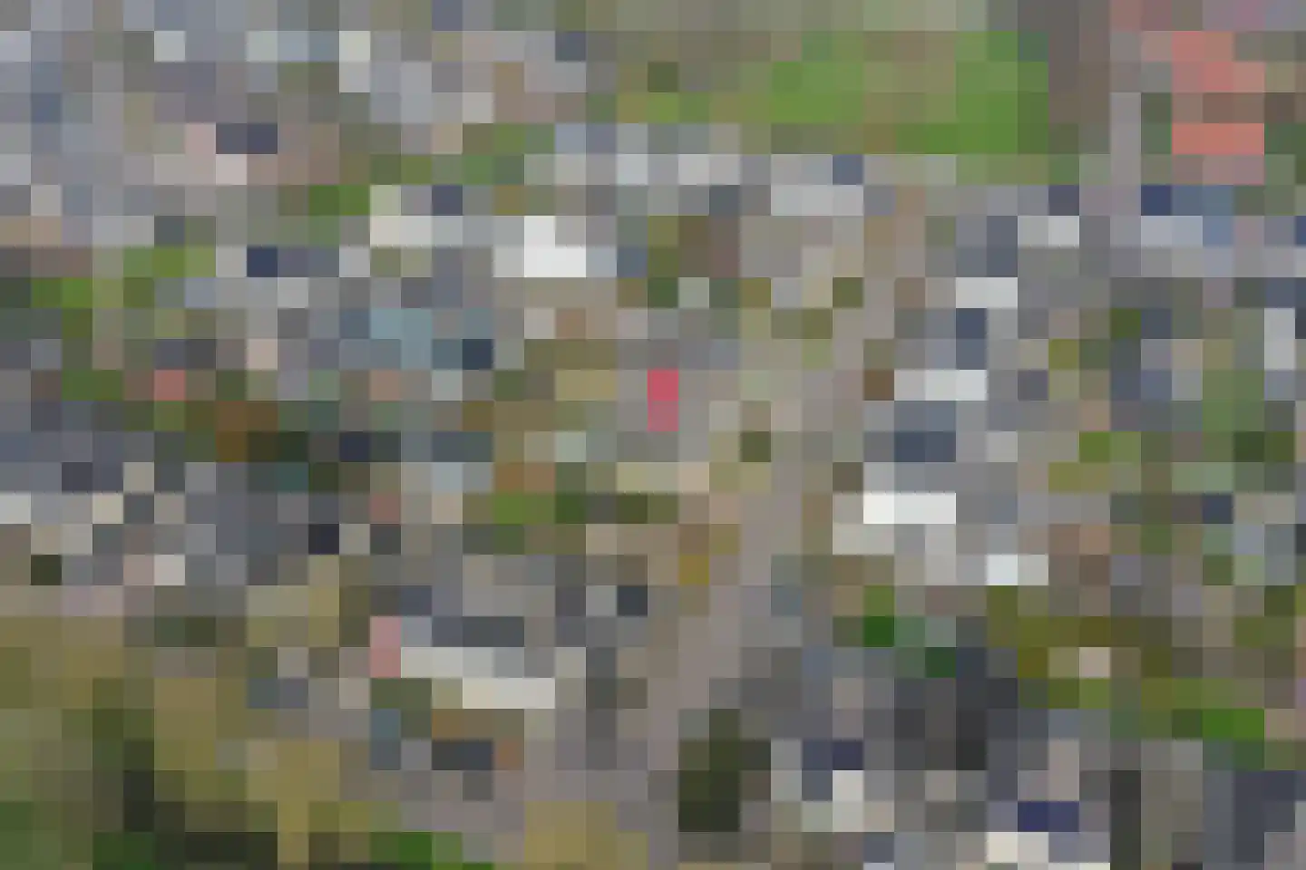 De Puttense Roe 5 Dronten thumbnail 7