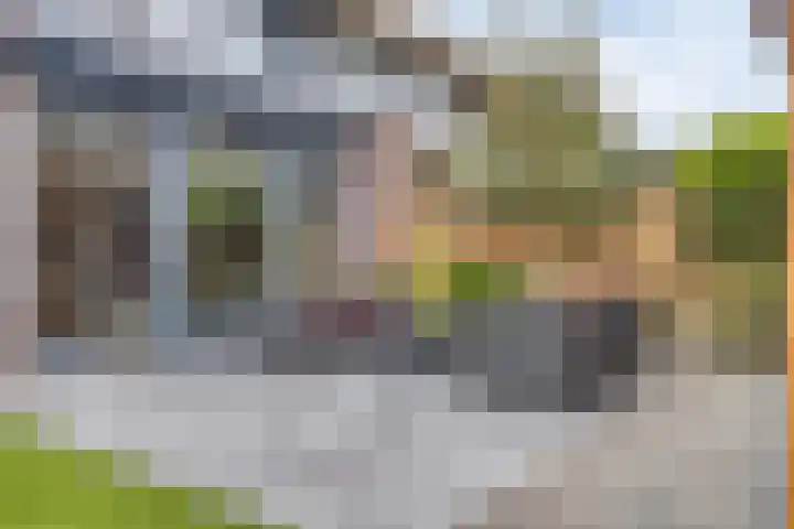 De Putter 1 Puttershoek thumbnail 20