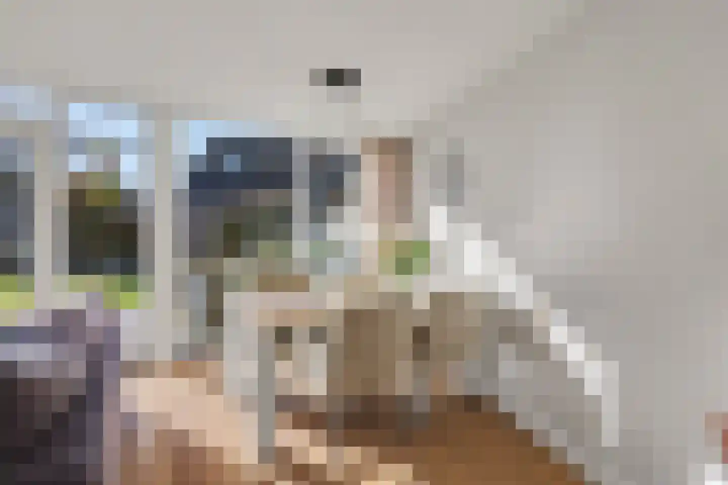 De Putter 10 Almelo thumbnail 13