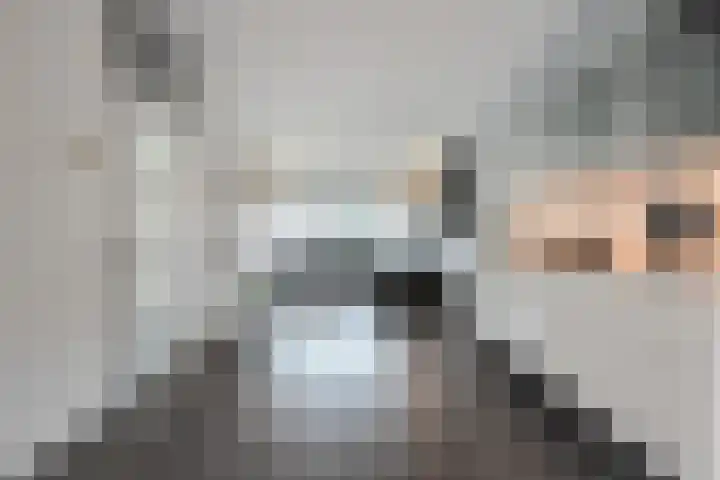 De Putter 50 Vriezenveen thumbnail 14