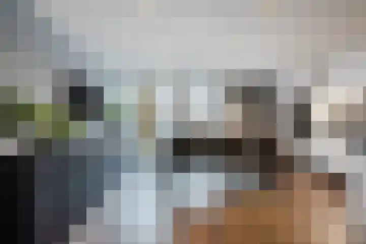 De Putter 50 Vriezenveen thumbnail 15