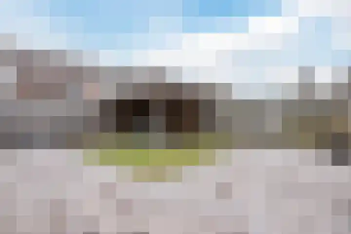 De Putter 50 Vriezenveen thumbnail 44