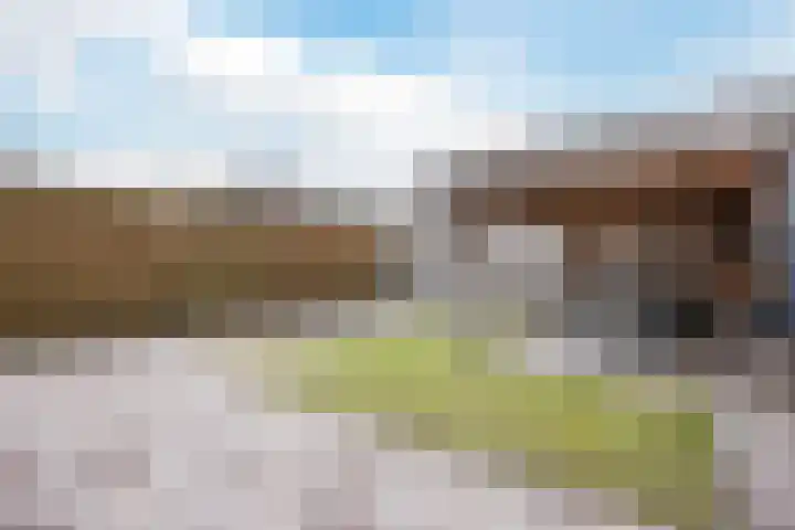 De Putter 50 Vriezenveen thumbnail 45