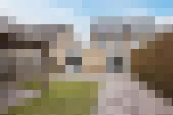 De Putter 50 Vriezenveen thumbnail 48