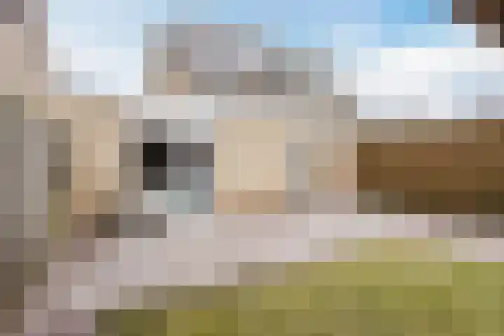 De Putter 50 Vriezenveen thumbnail 49