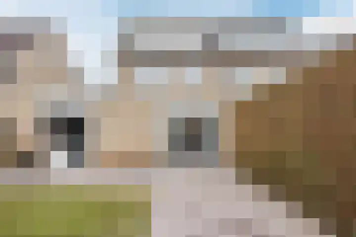 De Putter 50 Vriezenveen thumbnail 50
