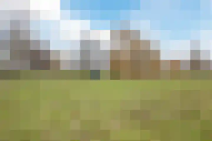 De Putter 50 Vriezenveen thumbnail 51