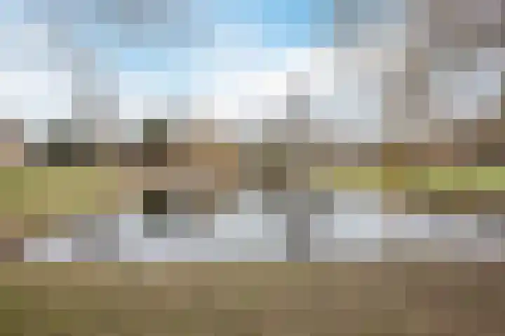 De Putter 50 Vriezenveen thumbnail 52