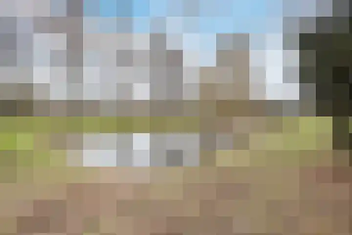 De Putter 50 Vriezenveen thumbnail 53