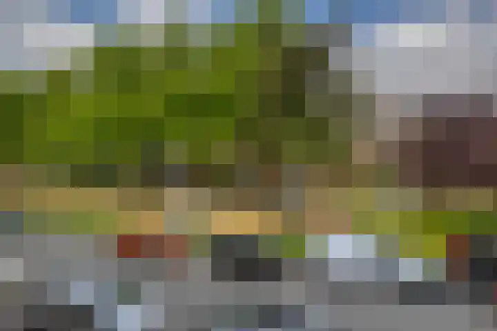 De Quackstraat 42 B Rotterdam thumbnail 4