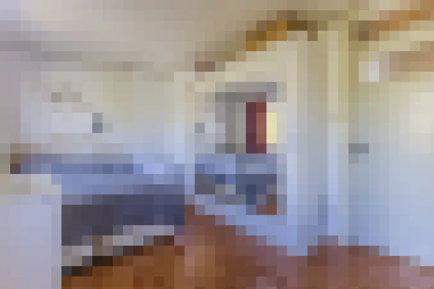 De Quackstraat 52 C Rotterdam thumbnail 23