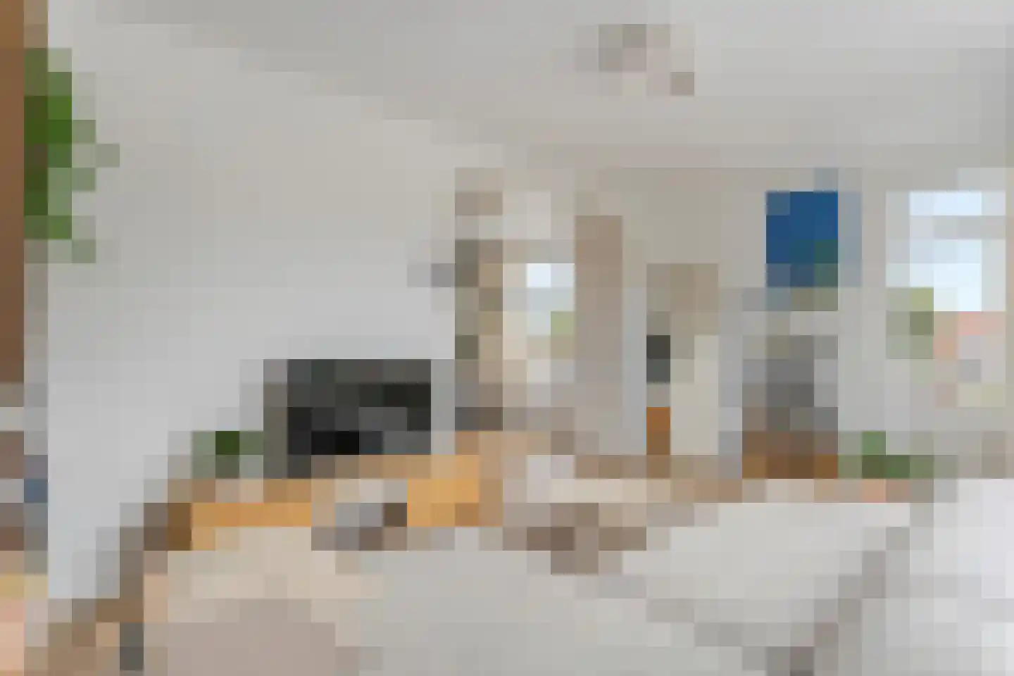 De Quackstraat 72 A Rotterdam thumbnail 24