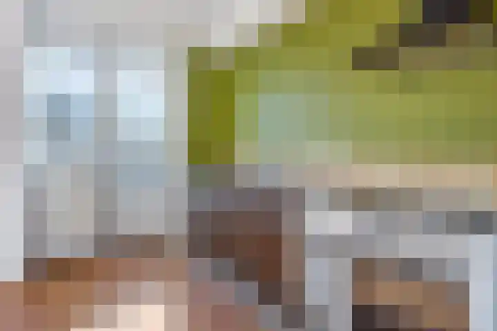 de Quaylaan 40 Grave thumbnail 10