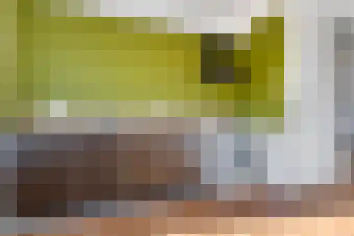 de Quaylaan 40 Grave thumbnail 9