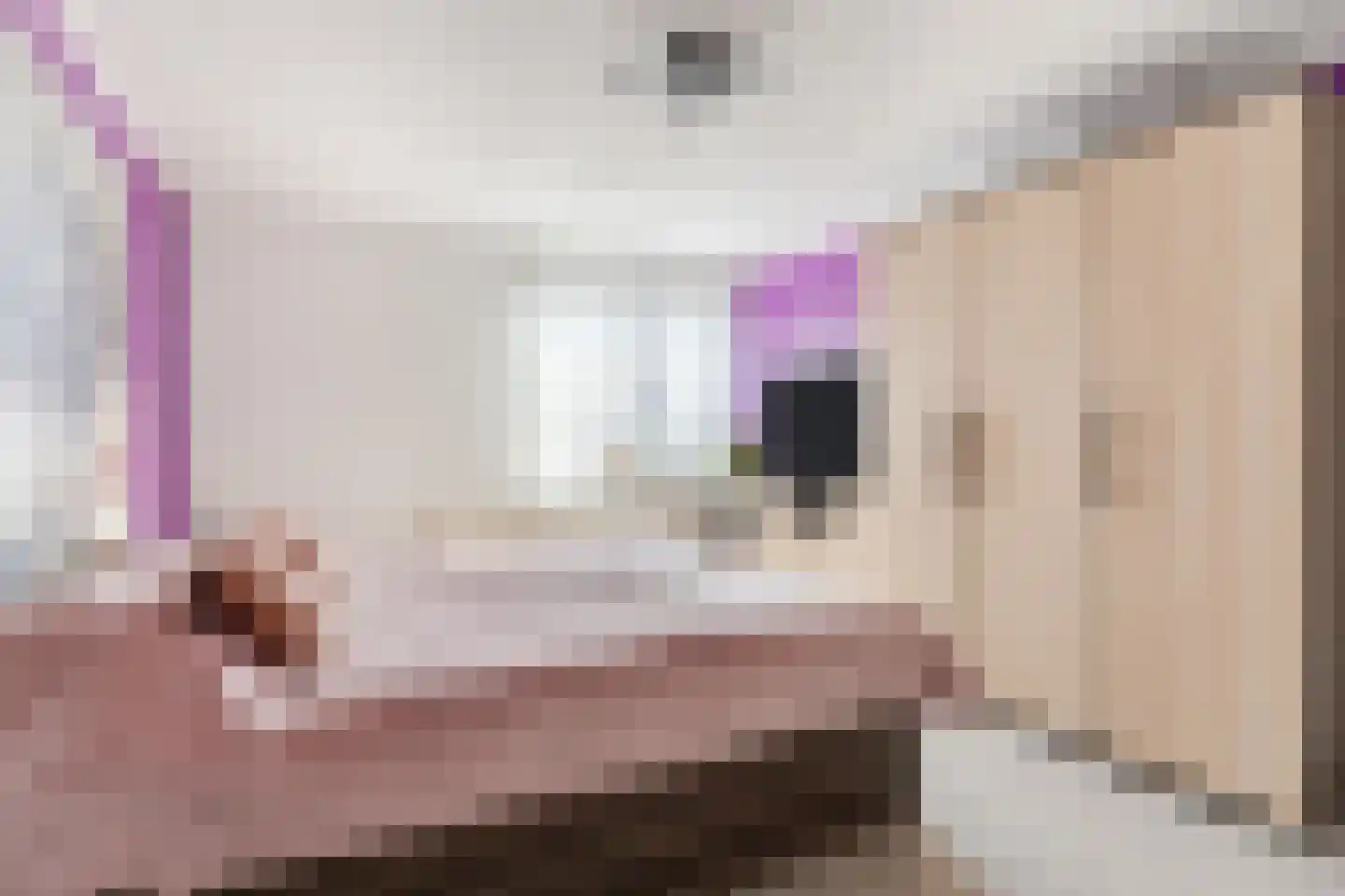 de Quaylaan 42 Grave thumbnail 14