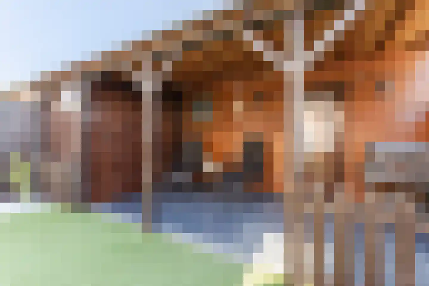 de Quaylaan 42 Grave thumbnail 25