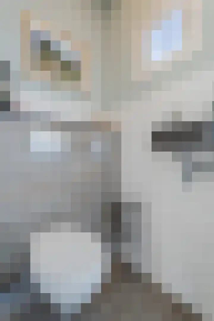 de Quaylaan 48 Grave thumbnail 13